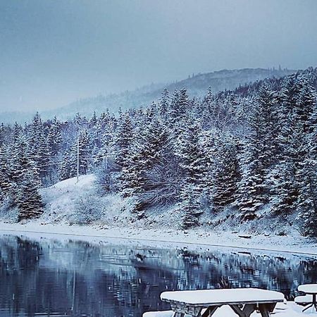 St Ann'S Motel & Cottage Baddeck Inlet Exterior foto